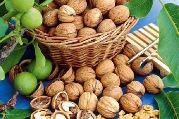 فروش مغز گردو سفید تویسرکان + قیمت خرید به صرفه