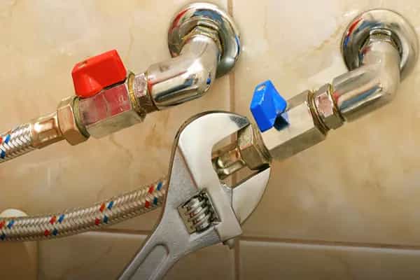 قیمت شیر پیسوار کوتاه با کیفیت ارزان + خرید عمده