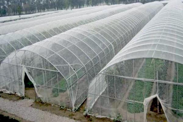 خرید نایلون گلخانه ای شفاف + قیمت فروش استثنایی