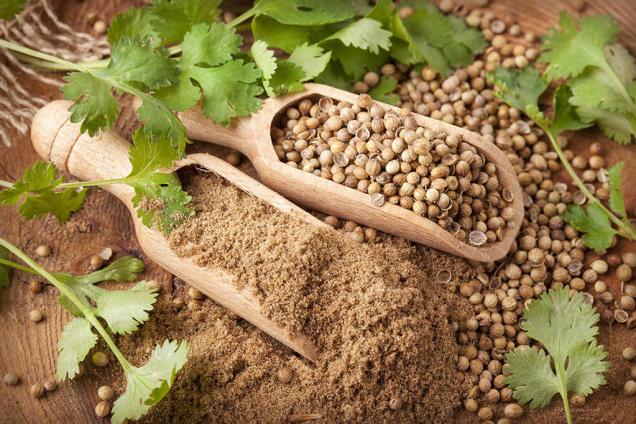 فروش تخم گشنیز بسته بندی + قیمت خرید به صرفه
