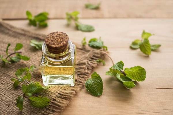 قیمت خرید عرق نعنا 20 لیتری با فروش عمده