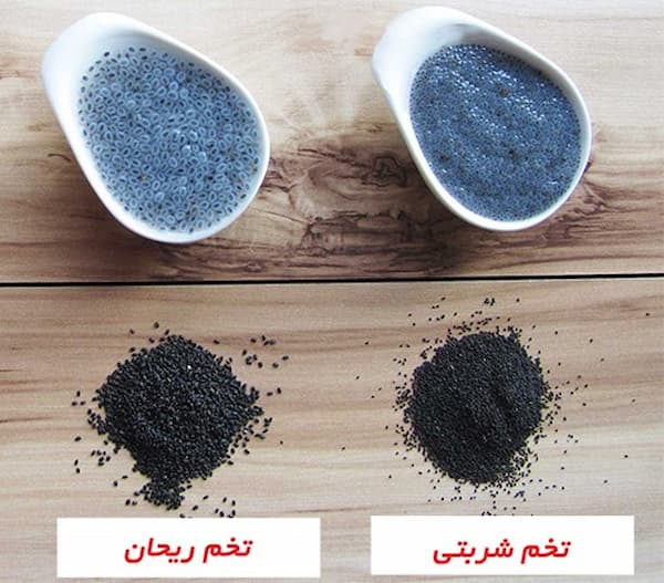 فروش تخم شربتی تخم ریحان + قیمت خرید به صرفه