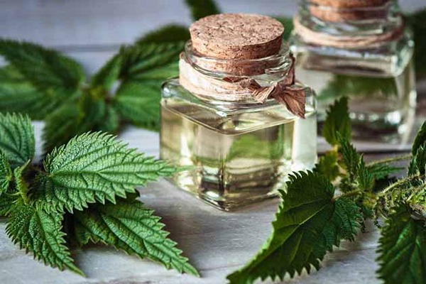 قیمت خرید شربت عرق گزنه با فروش عمده