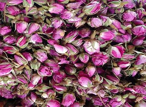 قیمت گل محمدی سرخ با فروش عمده