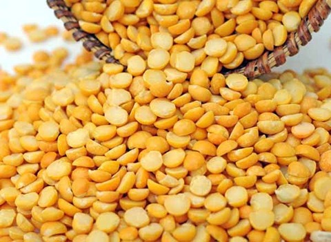 قیمت خرید لپه زود پز با فروش عمده