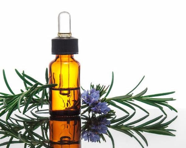 خرید اسانس طبیعی رزماری + قیمت فروش استثنایی