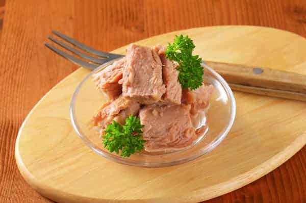 فروش ماهی تن هوور گیدر یمت خرید به صرفه