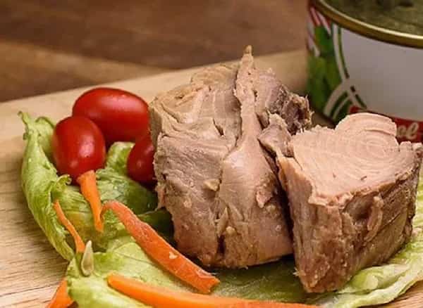 قیمت کنسرو تن ماهی در آب نمک با فروش عمده