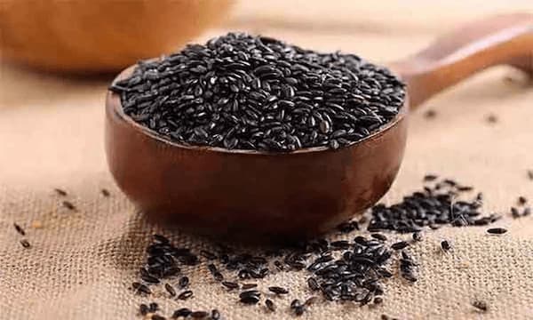 خرید و قیمت گل گاو زبان کاکوتی + فروش عمده