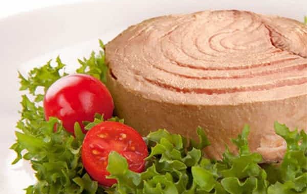 قیمت کنسرو تن ماهی گیدر با کیفیت ارزان خرید عمده