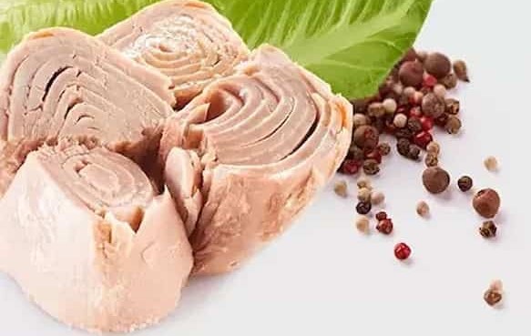 فروش کنسرو تن ماهی قیمت خرید به صرفه