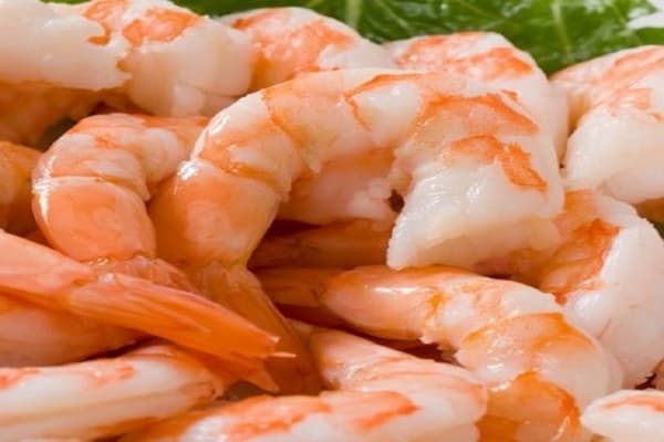 قیمت خرید شاه میگو بسته بندی با فروش عمده