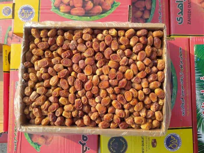 قیمت خرما زاهدی بسته بندی + خرید باور نکردنی