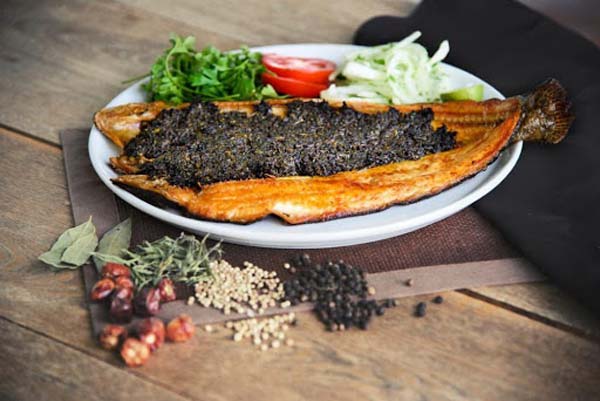 قیمت خرید ماهی شعری بزرگ با فروش عمده