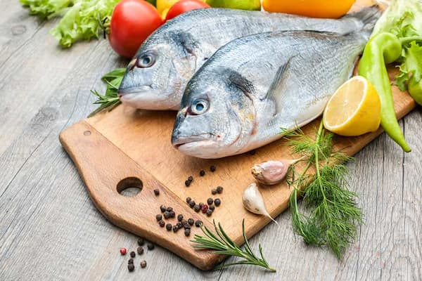 خرید و قیمت ماهی شیر بندر + فروش عمده
