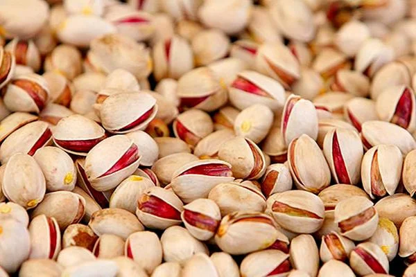 خرید پسته یک کیلویی + قیمت فروش استثنایی