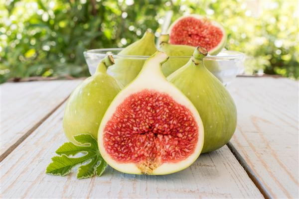 خرید و قیمت انواع مربا انجیر سبز