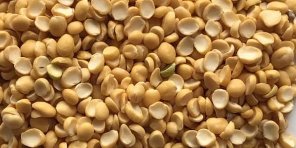خرید لپه نخود ساشا + قیمت فروش استثنایی