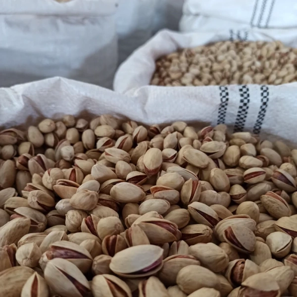 خرید و فروش پسته رفسنجان صادراتی با شرایط فوق العاده