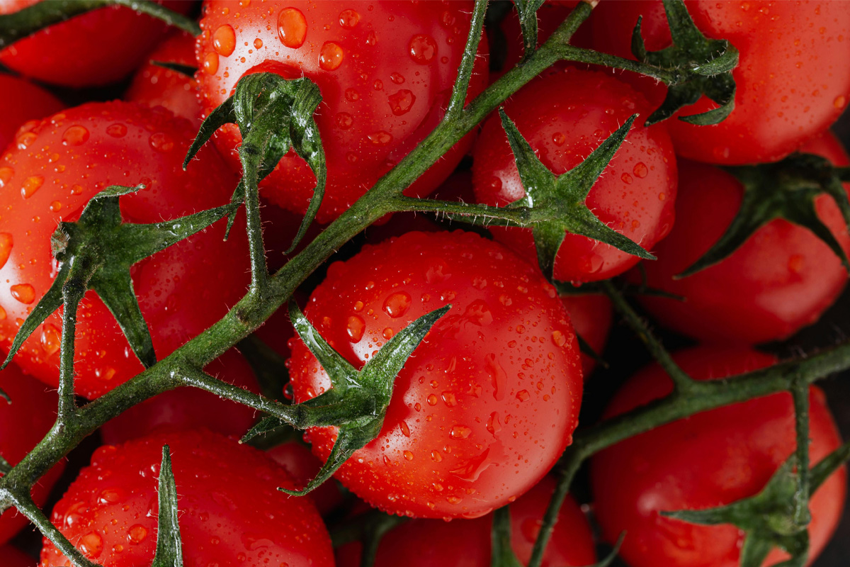 قیمت خرید رب گوجه فرنگی مرغوب با فروش عمده