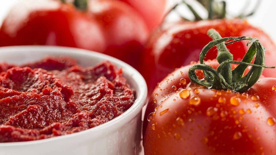 قیمت خرید رب گوجه 10 کیلویی عمده به صرفه و ارزان