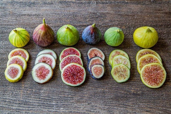 قیمت خرید انجیر استهبان فارس عمده به صرفه و ارزان