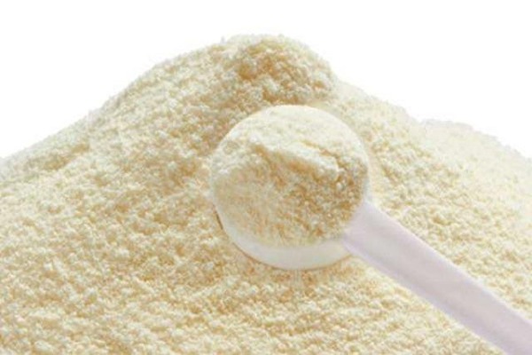 قیمت خرید شیر خشک گرگان با فروش عمده