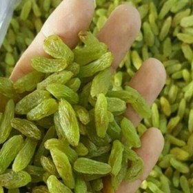 قیمت کشمش صادراتی مرغوب + خرید باور نکردنی