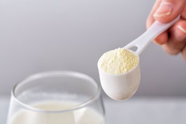 قیمت خرید پودر شیر خشک بدون چربی با فروش عمده