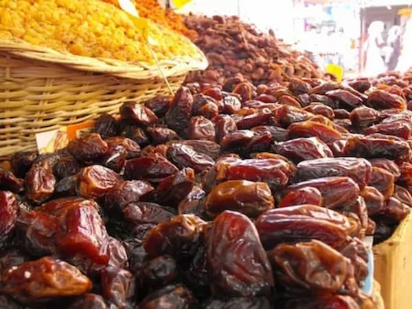 خرید خرما مجول مراکشی + قیمت عالی باکیفیت