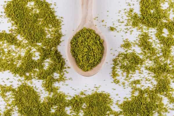 قیمت خرید پودر سبزی خشک + فروش ویژه