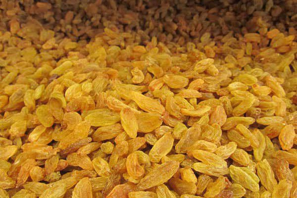 قیمت خرید کشمش زرد صادراتی + فروش ویژه