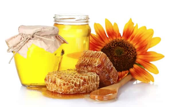 خرید عسل گون گز + قیمت فروش استثنایی