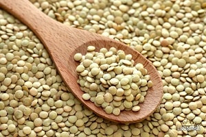 قیمت کنسروعدس سبز ۴۲۰ گرمی + خرید باور نکردنی