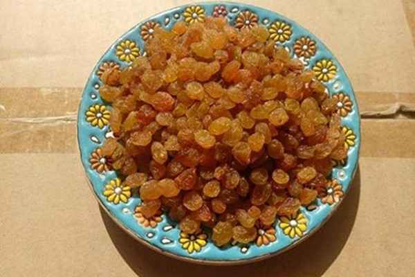 خرید کشمش طلایی عمده + قیمت فروش استثنایی