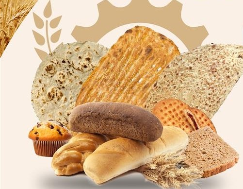 خرید و قیمت نان گندم کامل ارگانیک + فروش عمده