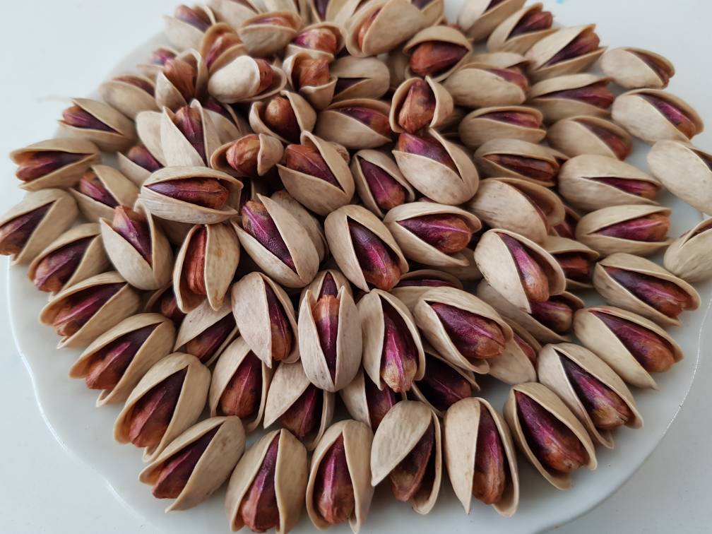 پسته اکبری صادراتی
