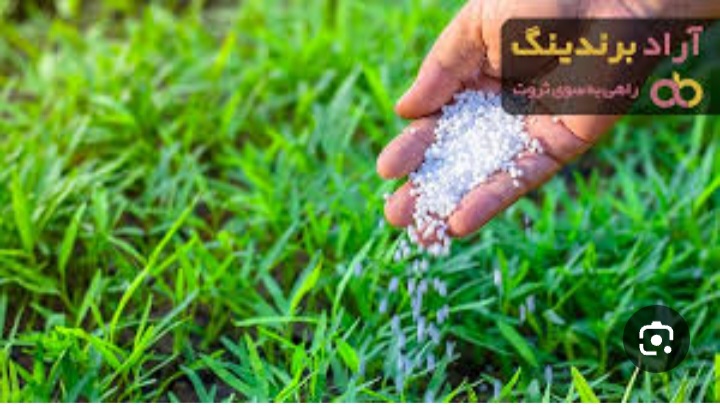 کود شیمیایی پتاس