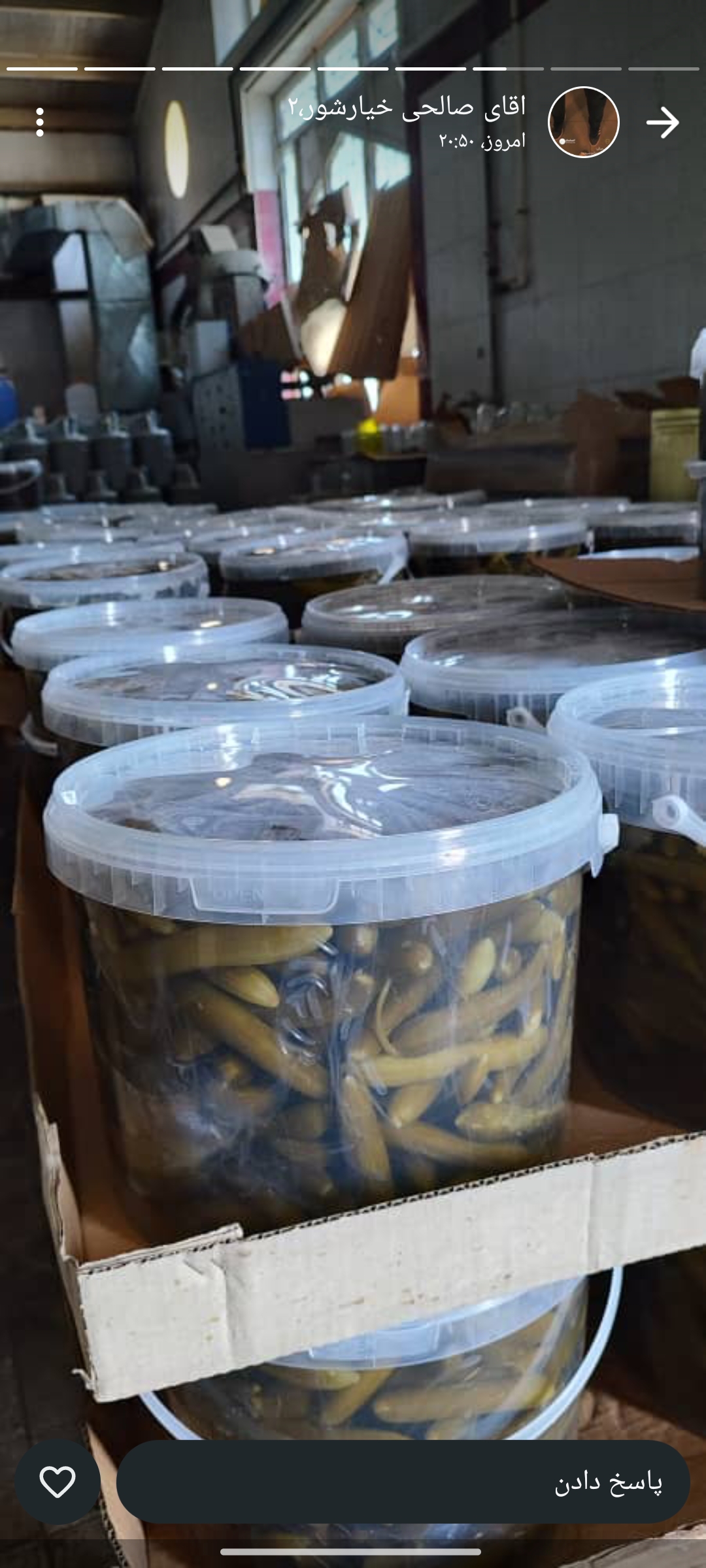 خرید خیارشور خانگی ترد با طعم اصیل و بسته‌بندی بهداشتی