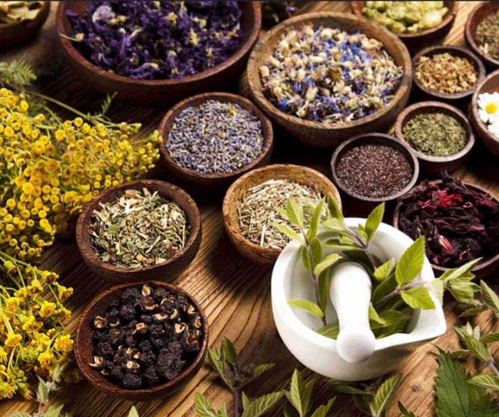 گیاهان دارویی