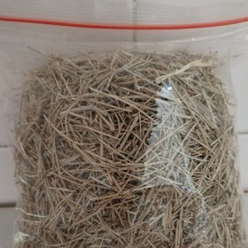 خرید گلنار فارسی عمده + قیمت امروز
