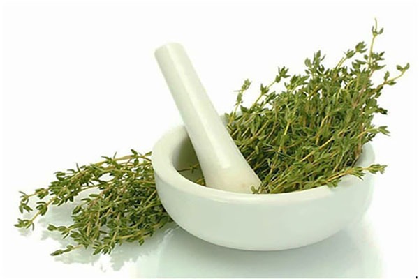 فروش گیاه آویشن خشک + قیمت خرید به صرفه