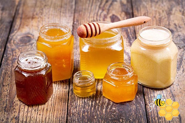 قیمت خرید عسل گون کیلویی + فروش ویژه