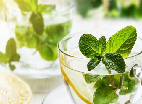 قیمت خرید عرق پونه کوهی + فروش ویژه