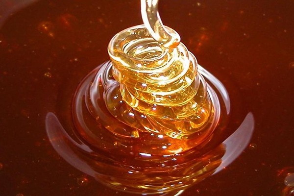 قیمت خرید عسل صادراتی ایران + فروش عمده