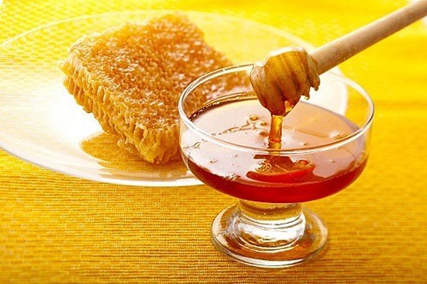 قیمت خرید عسل گون خام + فروش ویژه