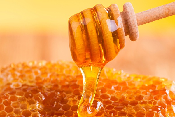 فروش عسل گون گز + قیمت خرید به صرفه