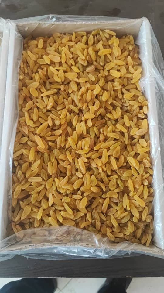 کشمش زردطلایی قلمی کاشمر