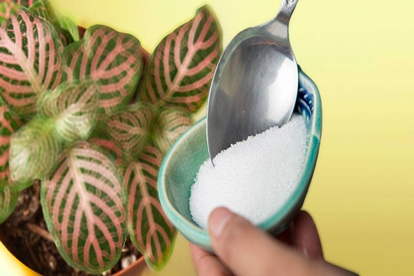 قیمت خرید نمک اپسوم برای گیاهان + فروش ویژه