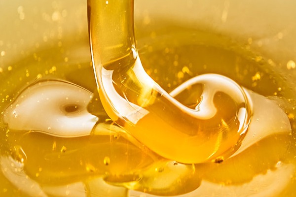 قیمت خرید عسل طبیعی جنگلی + فروش ویژه